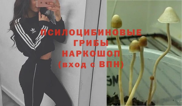 spice Козельск