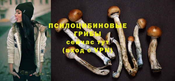 spice Козельск