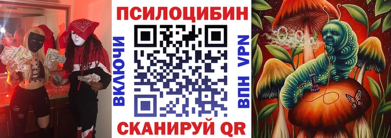 наркотики  Армавир  Псилоцибиновые грибы GOLDEN TEACHER 