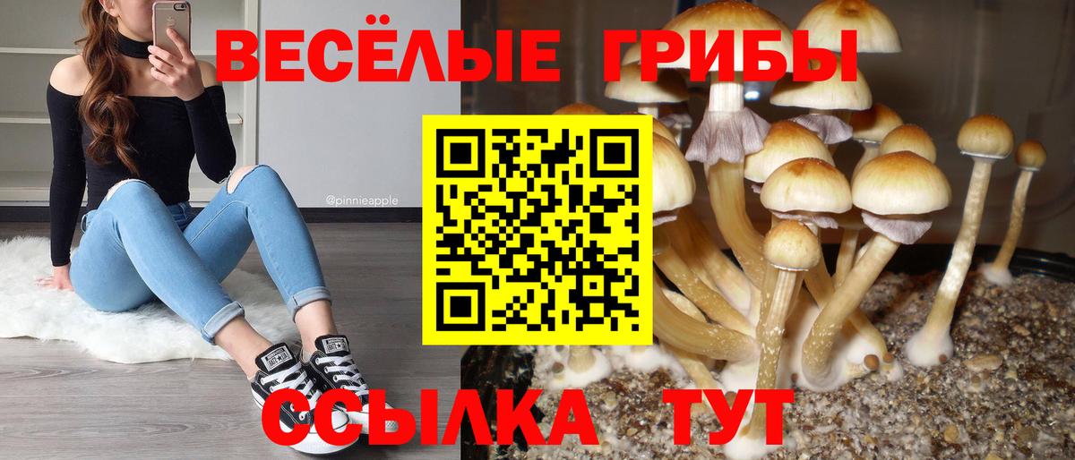 Псилоцибиновые грибы Cubensis  Вход с VPN  Галлюциногенные грибы Psilocybine cubensis  Армавир 