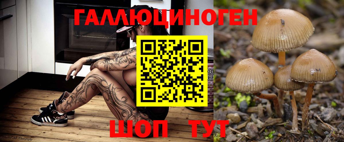 Псилоцибиновые грибы ЛСД Армавир